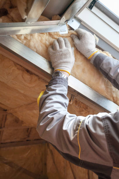 Types of Insulation We Offer in Albany, OR