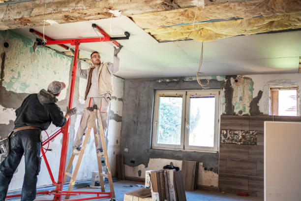 Best Geographic-Specific Insulation Services in Albany, OR