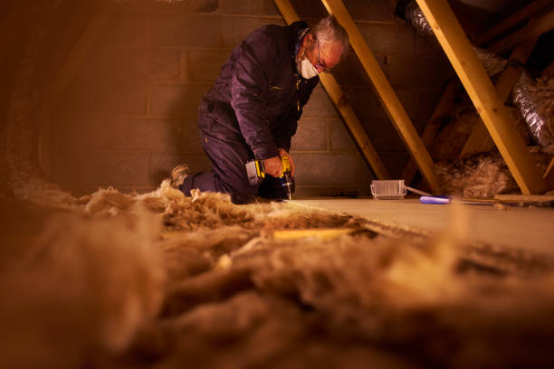 Types of Insulation We Offer in Albany, OR